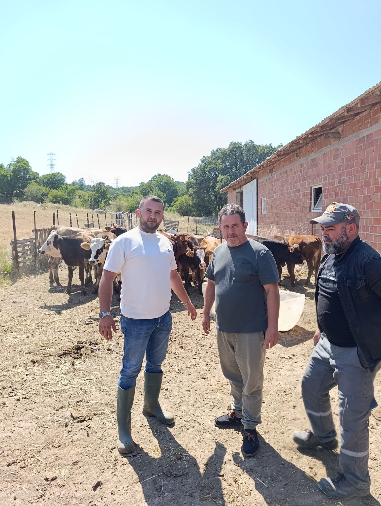 Belediyemizden ahırlara ücretsiz ilaçlama ve dezenfeksiyon desteği